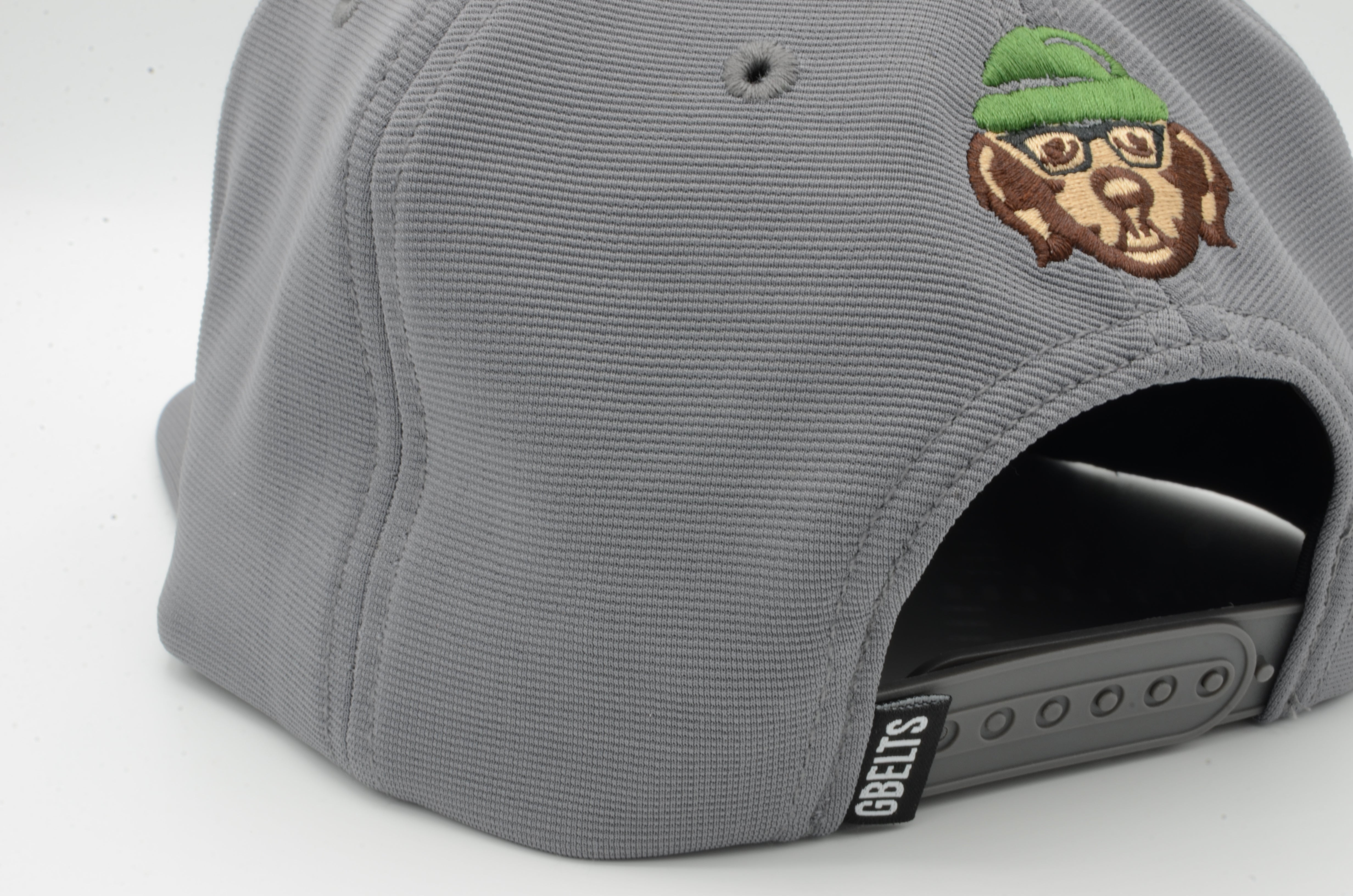 BirdChaser Premium Gray Snapback